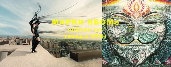 амф Арсеньев