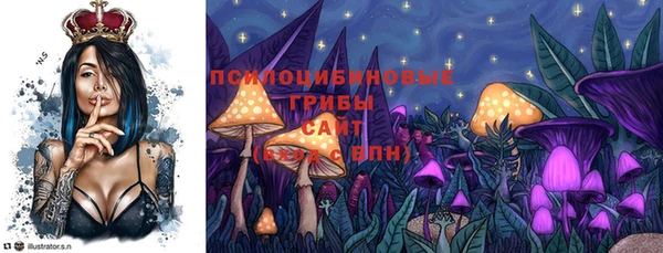 амф Арсеньев
