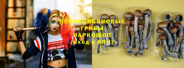 гидра Аркадак