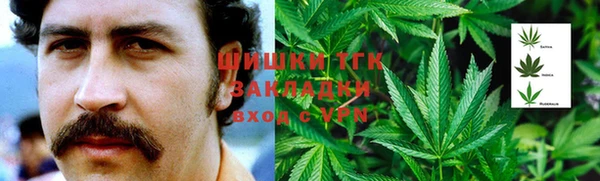 гидра Аркадак